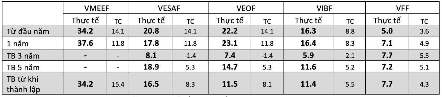 (*) TB: Trung bình kép, %/ năm; TC: chỉ số tham chiếu